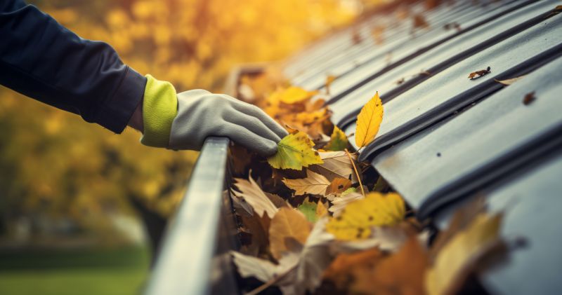 Seasonal Maintenance Savings